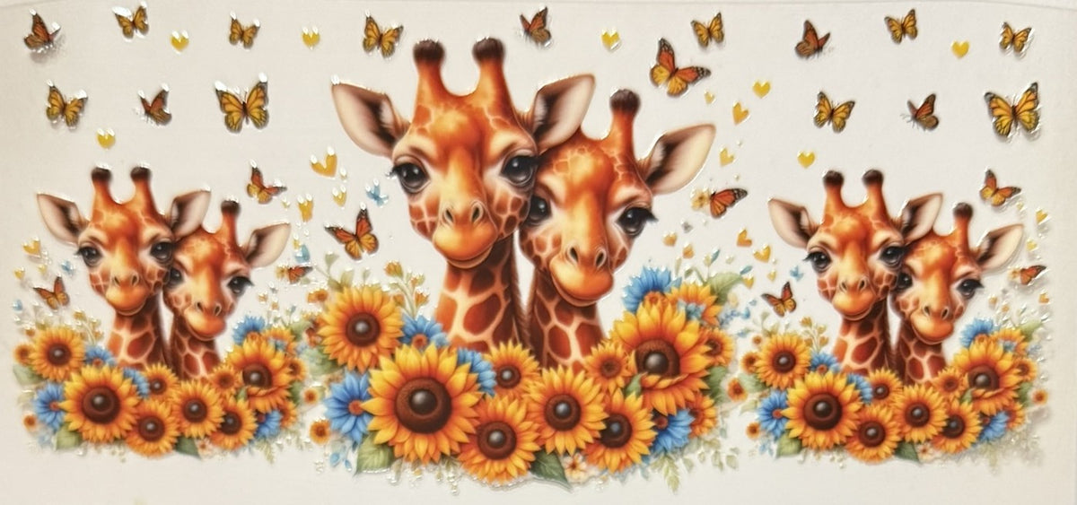 Animals