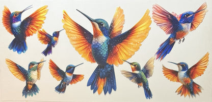 Animals