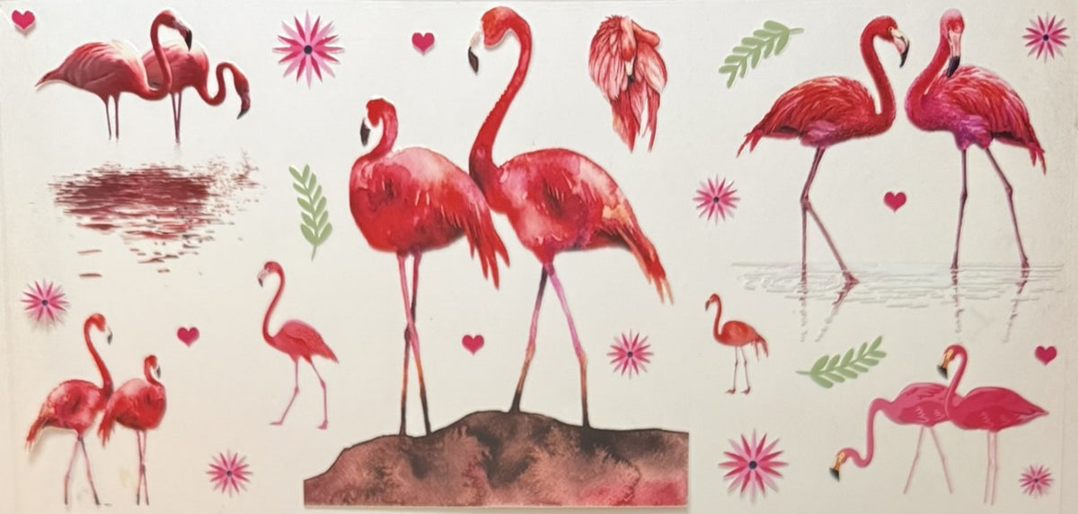 Animals