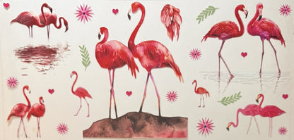 Animals