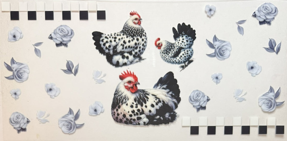 Animals