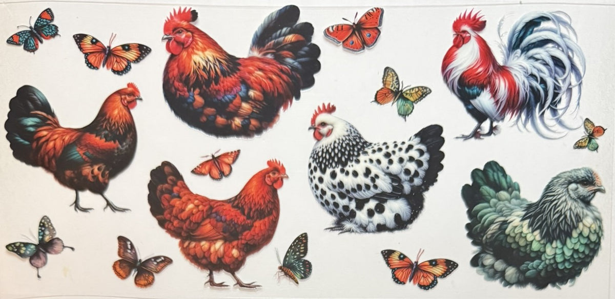 Animals
