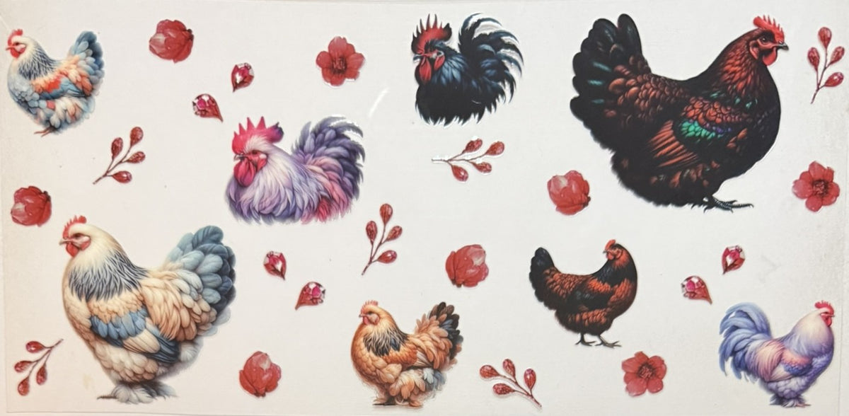 Animals