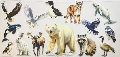 Animals