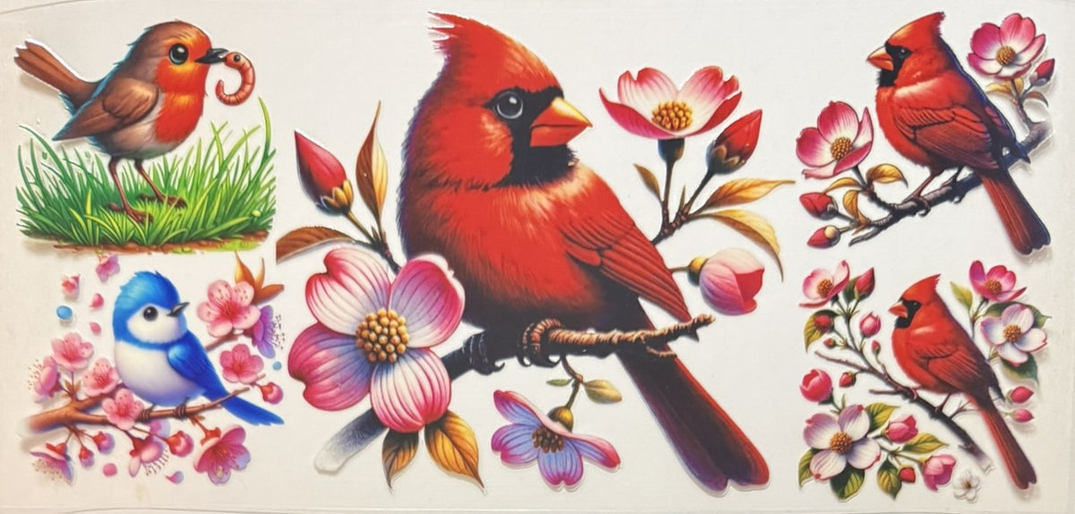 Animals