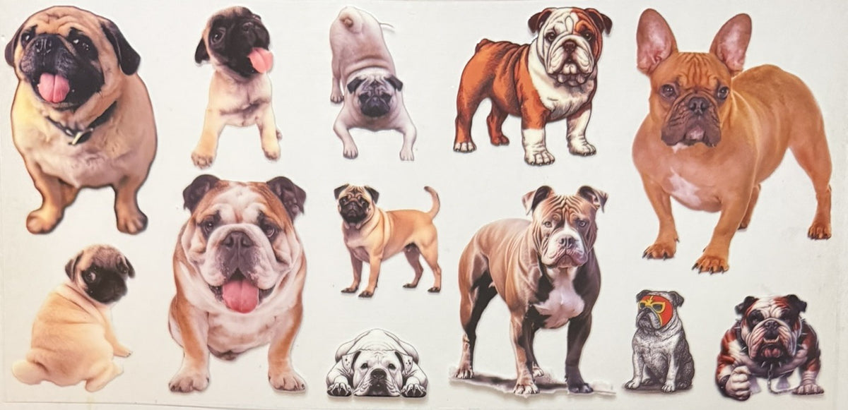 Animals
