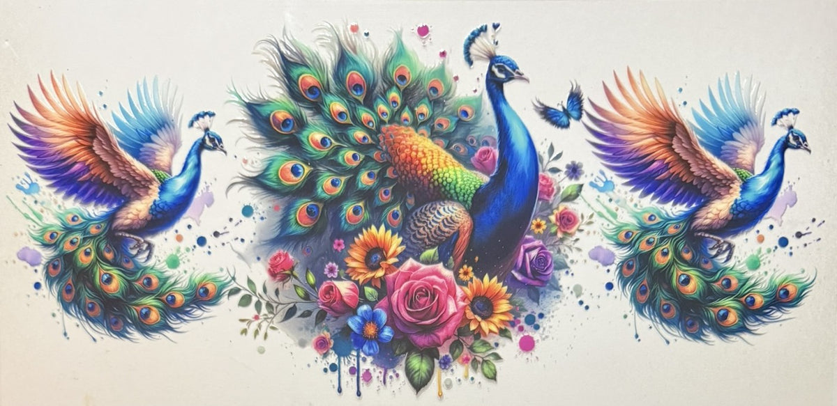 Animals