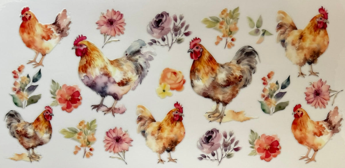 Animals