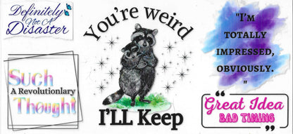 Funny / Sarcastic / Explicit